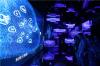 China’s Cloud Computing Market May Almost Double to USD370 Billion by 2029, Report Says