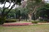 Taiwanese Identity and the Correspondence to Democracy