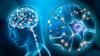 Neuroscience Confirms, Mental Health Healing Can Come Through Scripture: 'There's Tremendous Hope'