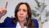 White Site: Kamala Harris’s DEI Devotion Ends at Border of Her Swanky New Neighborhood
