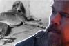 The dog who waited for Odysseus: Argos reflects the deep human‑animal bonds of ancient Greece