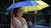 Where you live could decide how well you breathe, French study finds