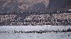 Spain deploys military to Ceuta after thousands breach Morocco's border, at least 9 die