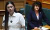 English to become official language of New Zealand - but critics slam the decision as a 'waste of time'