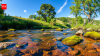 A Massachusetts mother helped save one of America's dirtiest rivers