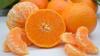 Morocco doubles mandarin exports to Ireland, surpasses Spain as winter supplier