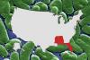 Map Shows Cases of Flesh-Eating Bacteria Infections Across US This Year