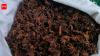A wild Himalayan spice is helping 200 families protect 100 sq km of forest while generating an income of Rs 39 lakh