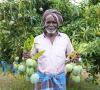 India exports Karnataka's Neelam, Totapuri mangoes to Maldives for first time. Here's why it matters