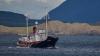 Anti-Whaling Ship Seized Off Iceland Coast: Activist Group Confirms
