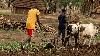 Northern Bahr el Ghazal farmer killed in chaotic payment dispute