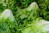 Farmers step up during health crises