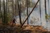Climate Change Made ‘Fire Weather’ in France, Spain More Likely