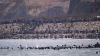 EU home affairs ministers agree to strengthen Schengen borders