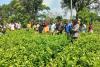Agribusiness training draws 100 youths in Central Zone
