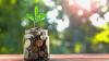 Top High-Yield Savings Accounts Offering up to 4.50% APY Right Now, July 31, 2026