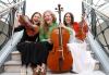 Dublin musicians invited to apply for high end classical instruments
