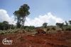 Wind Power Developer Faces Probe Over Land Clearing in Mondulkiri Wildlife Sanctuaries