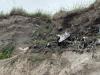 Latvia's Baltic coastline battles Soviet and modern trash