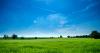 How much did DAFM pay out in farm schemes in 2025?