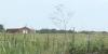 Cassville, Mo., residents worried about odor, pollution if Arkansas-based fertilizer company builds a permanent storage tank
