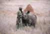 SANParks pays tribute to fallen rangers protecting South Africa's wildlife