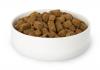 Dog Food Innovation: Is cold pressed the Next Game Changer in Nutrition?