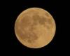 July 31 in History: From Russia's 1914 Mobilization to Apollo 15's Lunar Rover