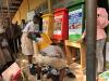 New Challenge Supports Innovations to Reduce Food Losses and Textile Waste in Ghana