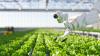 AGCO Uses AI To Help Farmers Produce More With Less