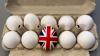Edwina Currie praises UK egg industry’s salmonella progress