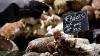 Best street food cities around the world in 2026: Paris ranks No. 1, Greek cities dominate top 10 list
