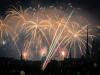 Swiss study shows birds continue to suffer for days after fireworks