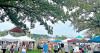 Art in the Park