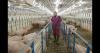 Hyde-Smith leads push to reform H-2A agricultural program