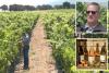 California wineries forced to torch vineyards in latest drastic move for crippled industry