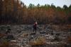 Wildfires ease near Bordeaux and Madrid, bringing respite as Greece flares up