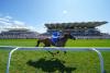 Friday at the Qatar Goodwood Festival - another Glorious picture special