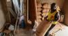 Ghana forecasts 16% fall in cocoa production following bad weather and disease