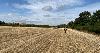 Eku Energy acquires 300MW/600MWh UK BESS from TBC Partners