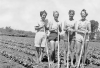 Teen Farmerettes were Canada’s answer to Victory Gardens during wartime food shortages