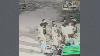 Cow dung row in posh Gurugram society: BJP councillor’s husband booked for thrashing RWA secy, wife