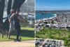 Fists fly as two men and their dogs brawl at popular San Diego tourist destination in wild video