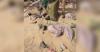 Bodies of 14 Afghan Migrants Found in Desert After Failed Iran Crossing
