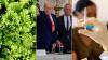 The Hidden Impact Of Trump's Public Health Cuts Is Starting To Appear — And Experts Say This Is Only The Beginning