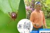 What is Bourbon disease? All about the rare illness with no cure diagnosed on Long Island