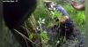 Bodycam: Conn. Police Trudge Through Waist-Deep Mud to Rescue Missing Autistic Child