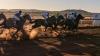 Roebourne Cup delivers big crowds as Zadar Rock goes back to back