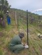Hope rises for Eswatini beef exports as EU hails FMD progress