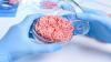 UK Food Standards Agency issues new cultivated meat guidance
